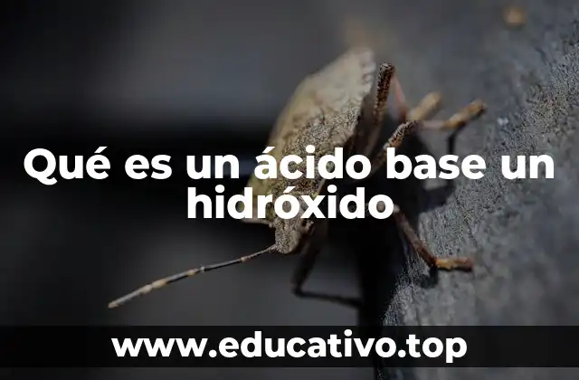 Las diferencias entre ácidos, bases y compuestos básicos como los hidróxidos