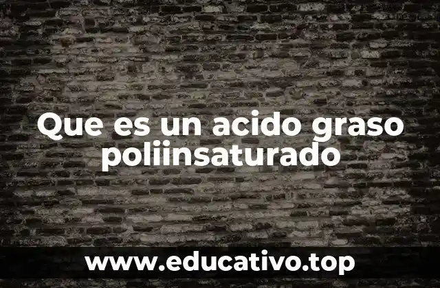 Que es un acido graso poliinsaturado