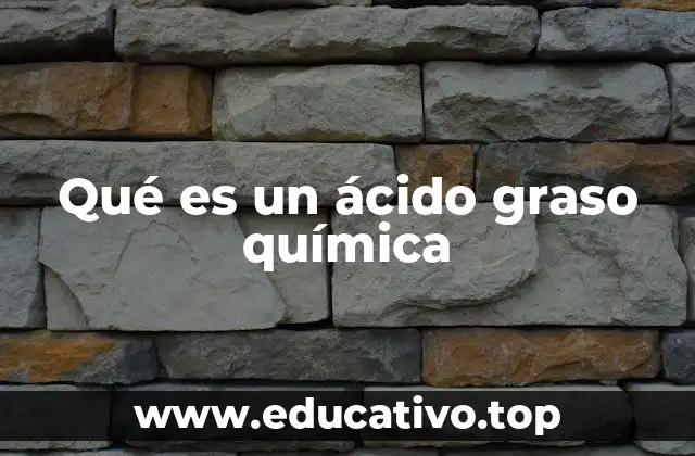 Qué es un ácido graso química