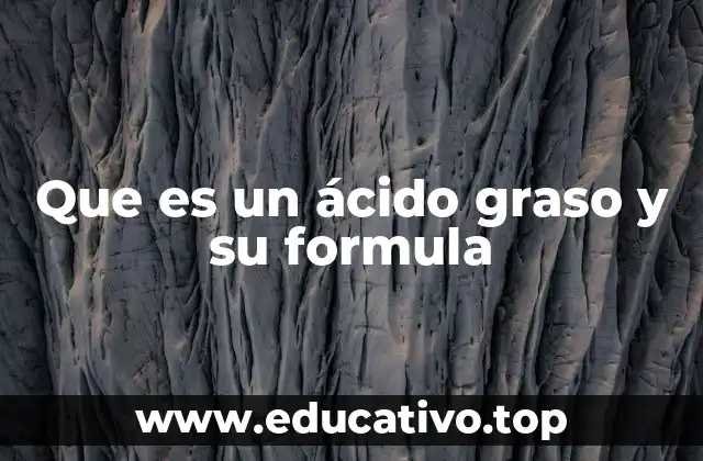 Que es un ácido graso y su formula