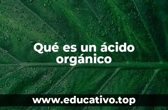 Qué es un ácido orgánico