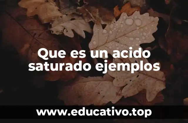 Que es un acido saturado ejemplos