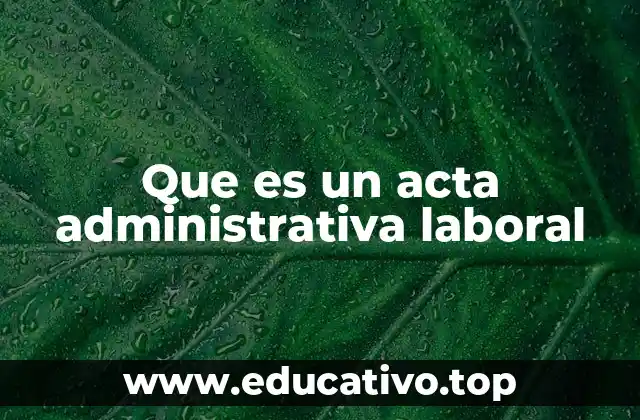 Que es un acta administrativa laboral