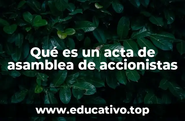 Qué es un acta de asamblea de accionistas