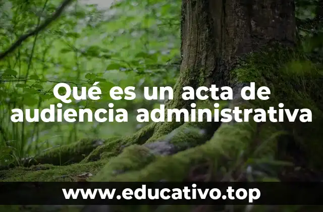 Qué es un acta de audiencia administrativa