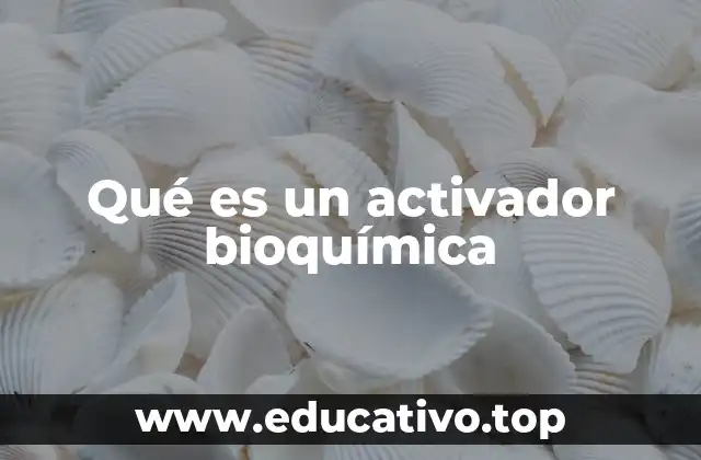 Qué es un activador bioquímica
