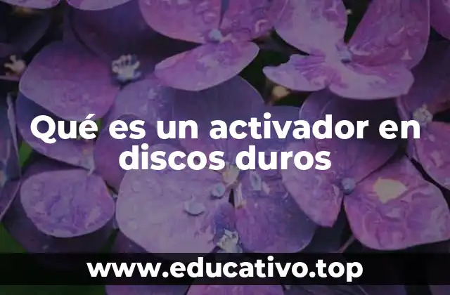 Qué es un activador en discos duros