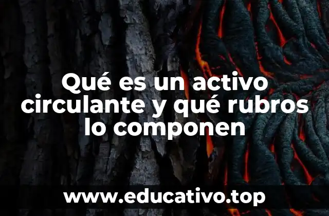 Qué es un activo circulante y qué rubros lo componen