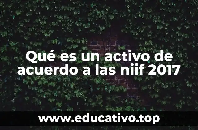 Qué es un activo de acuerdo a las niif 2017
