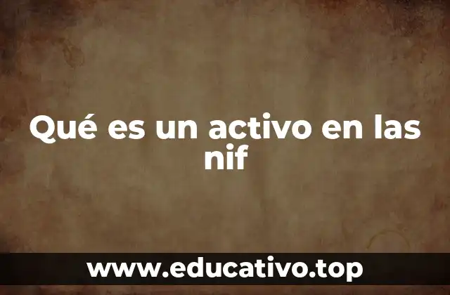 Qué es un activo en las nif