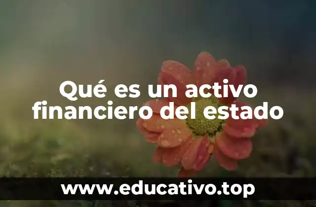 Qué es un activo financiero del estado