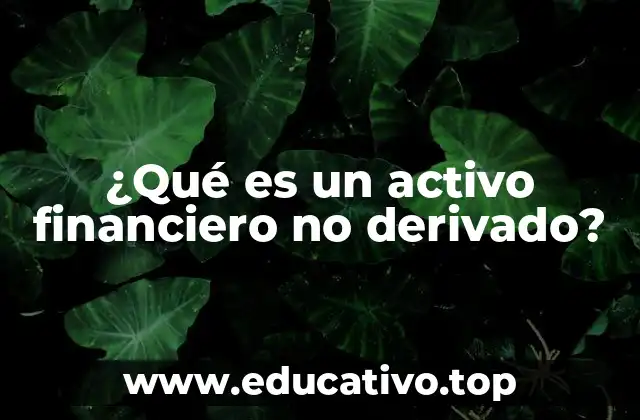 ¿Qué es un activo financiero no derivado?