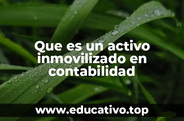Que es un activo inmovilizado en contabilidad