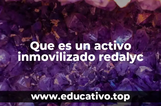 Que es un activo inmovilizado redalyc