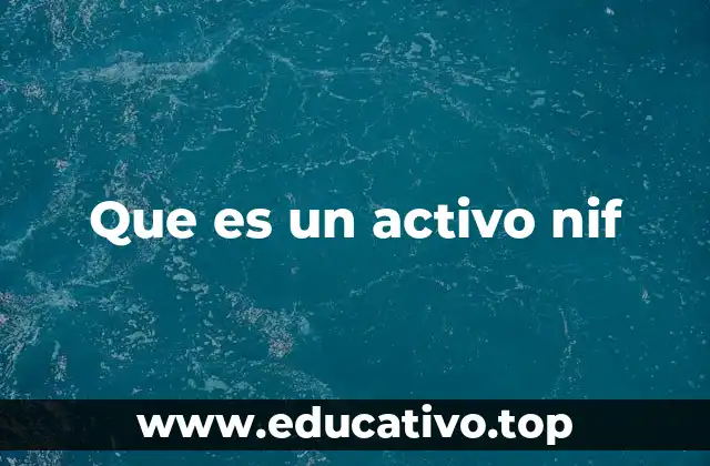 La importancia de los activos NIF en la gestión financiera