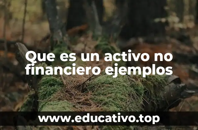 Diferencias entre activos financieros y no financieros