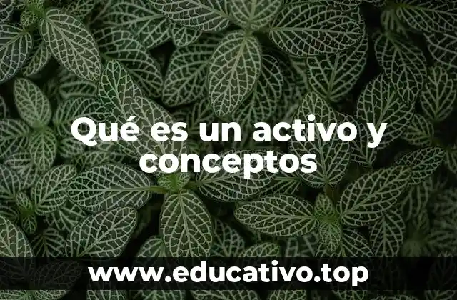 Qué es un activo y conceptos