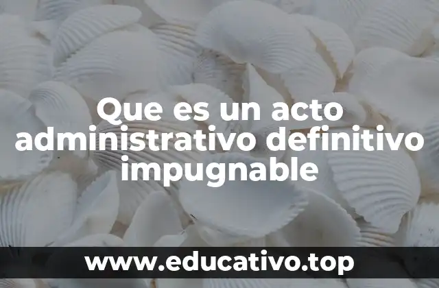 Que es un acto administrativo definitivo impugnable