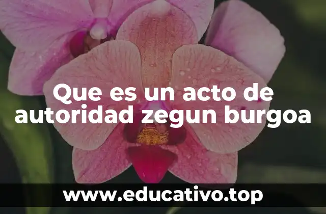 Que es un acto de autoridad zegun burgoa