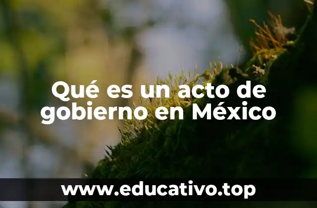 Qué es un acto de gobierno en México