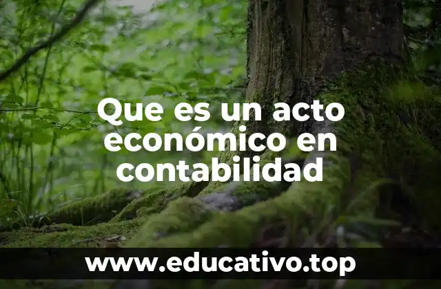 Que es un acto económico en contabilidad