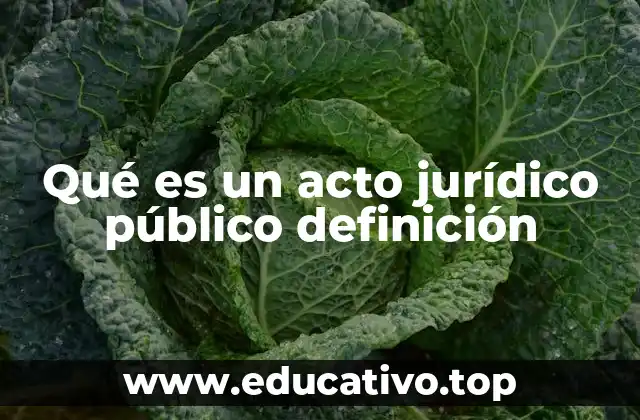 Qué es un acto jurídico público definición