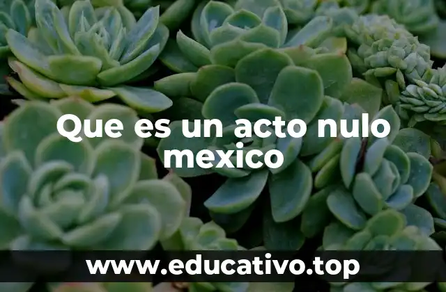 Que es un acto nulo mexico
