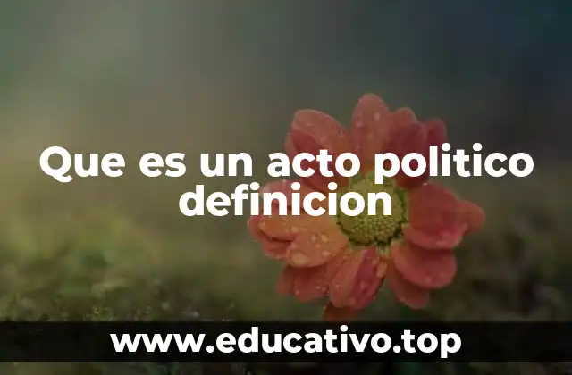 Que es un acto politico definicion