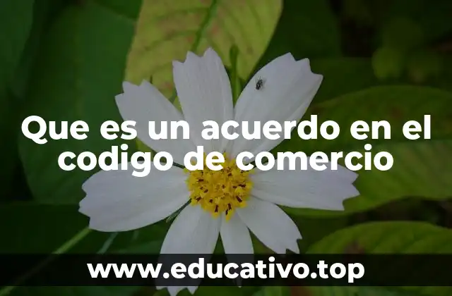 Que es un acuerdo en el codigo de comercio