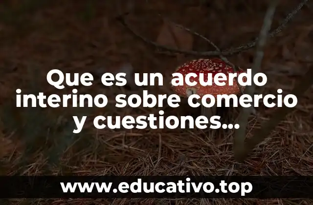 El papel de los acuerdos interinos en el comercio internacional