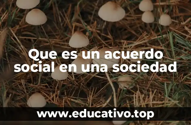 Que es un acuerdo social en una sociedad
