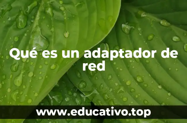 Qué es un adaptador de red