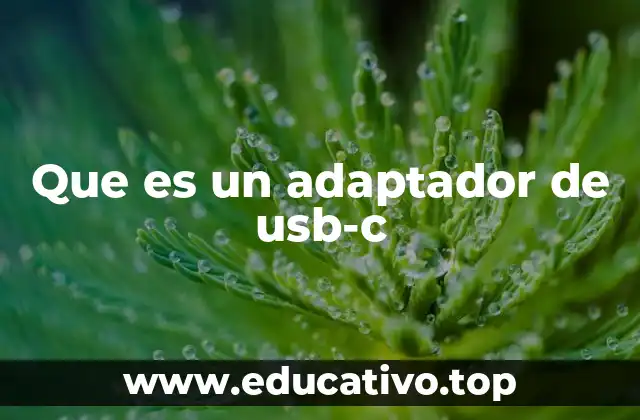Que es un adaptador de usb-c