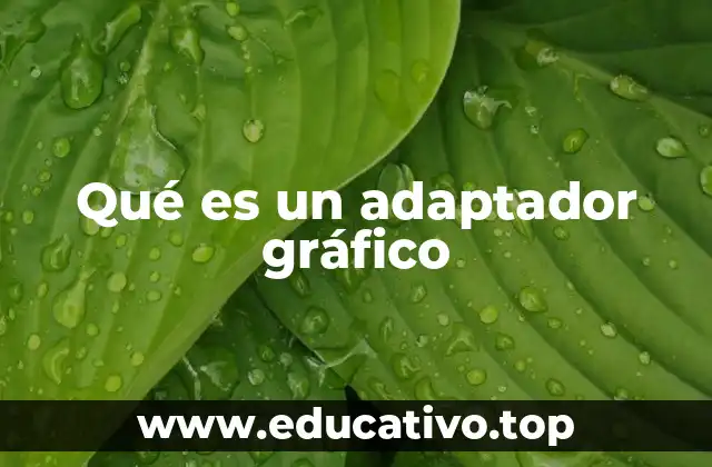 Qué es un adaptador gráfico