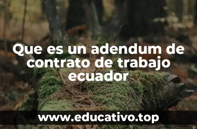 Que es un adendum de contrato de trabajo ecuador