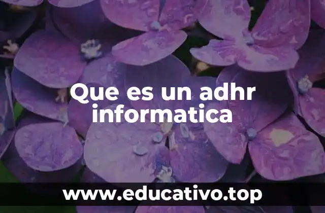 Que es un adhr informatica