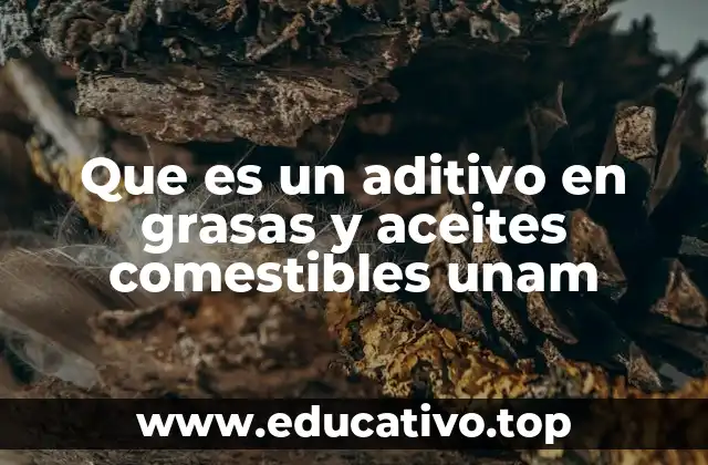 Que es un aditivo en grasas y aceites comestibles unam