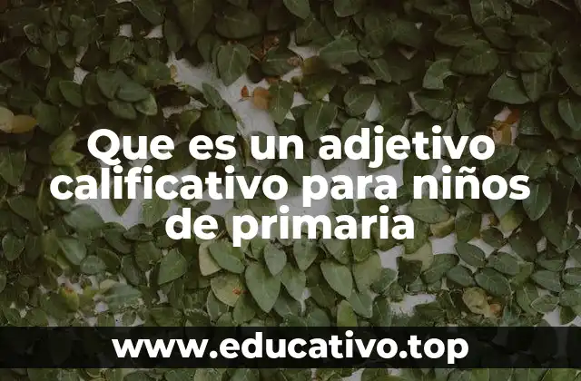 Que es un adjetivo calificativo para niños de primaria