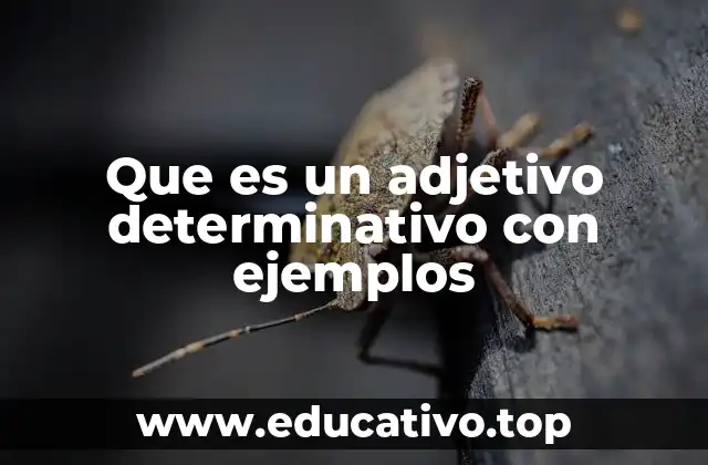 Que es un adjetivo determinativo con ejemplos