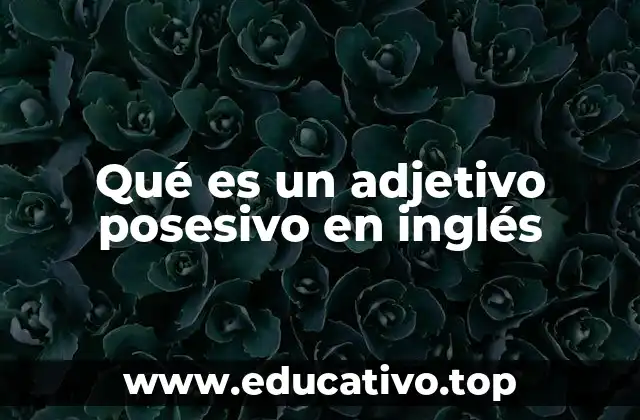 Qué es un adjetivo posesivo en inglés