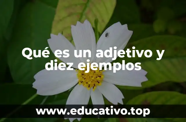 Qué es un adjetivo y diez ejemplos