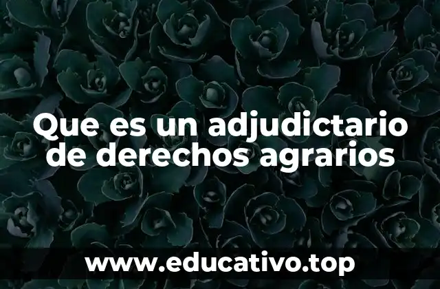 Que es un adjudictario de derechos agrarios
