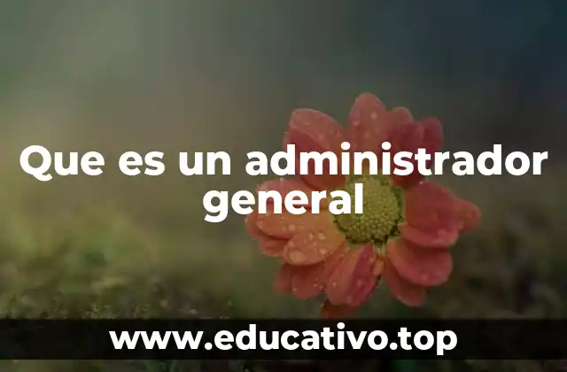 Que es un administrador general