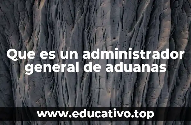 Que es un administrador general de aduanas