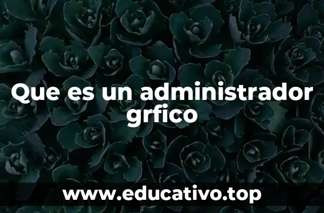 Que es un administrador grfico