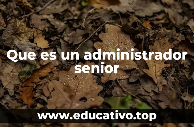Que es un administrador senior