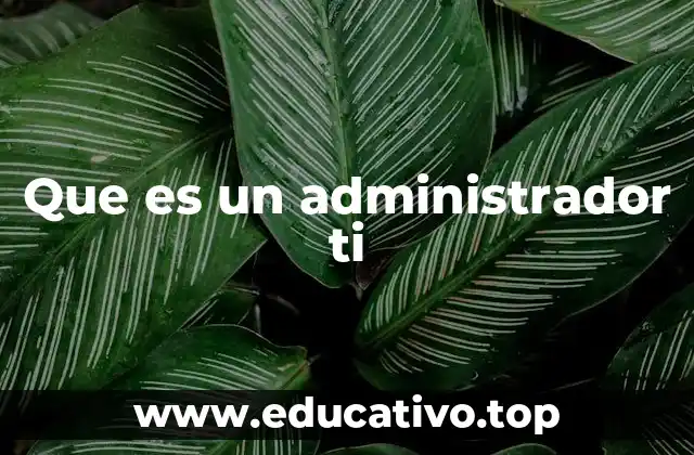 Que es un administrador ti