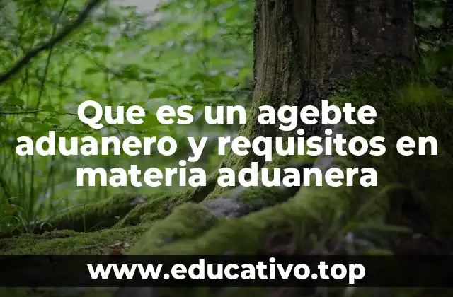 Que es un agebte aduanero y requisitos en materia aduanera