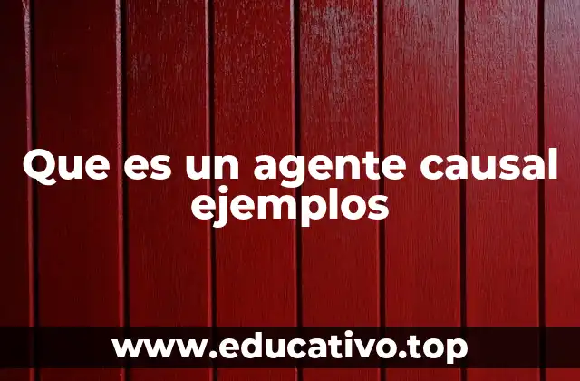 Que es un agente causal ejemplos