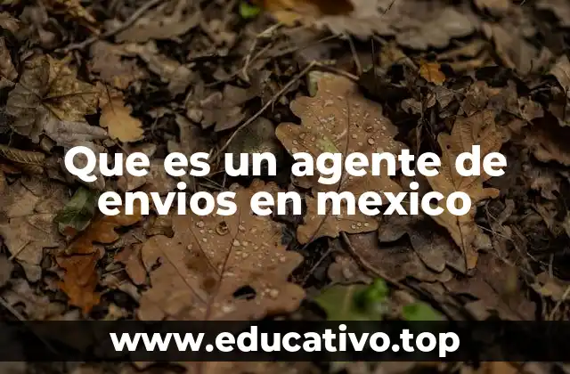 Que es un agente de envios en mexico